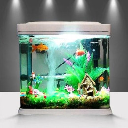 水族魚(yú)缸